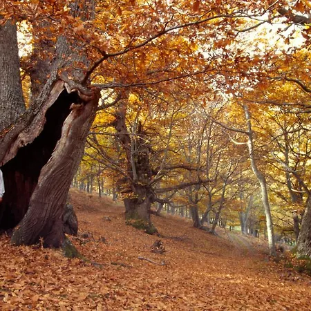 Toros De Guisando מלון אל טיימבלו