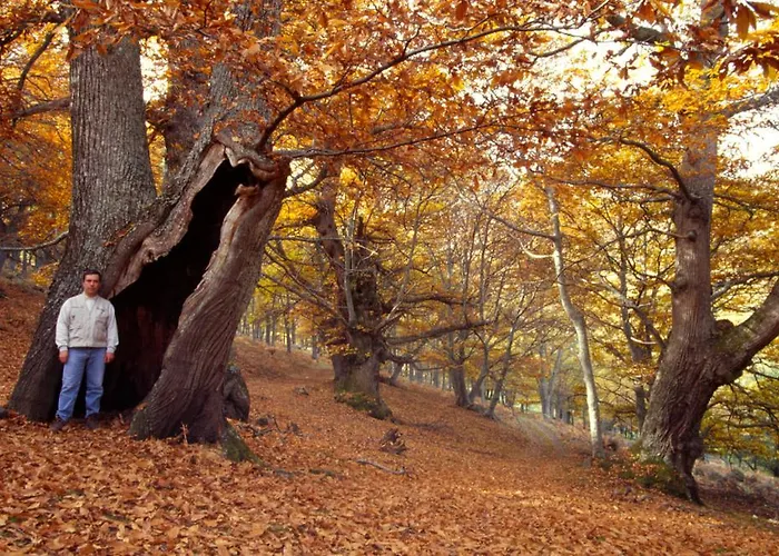 Toros De Guisando Hotell El Tiemblo
